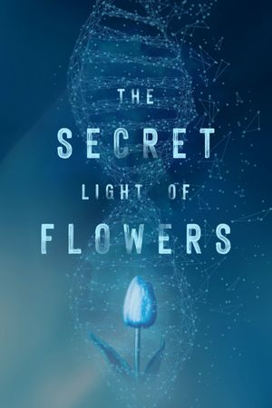 The Secret Light of Flowers's poster