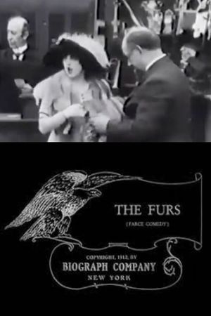 The Furs's poster