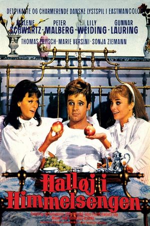Halløj i himmelsengen's poster