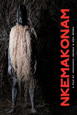 Nkemakonam's poster