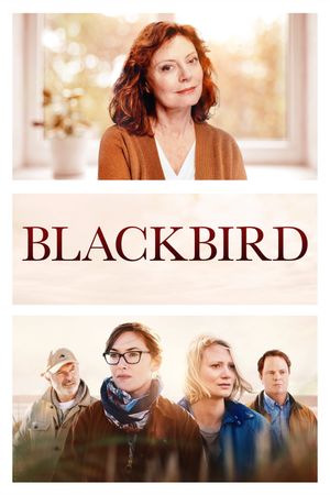 Blackbird's poster