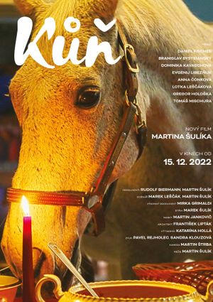 Horse's poster