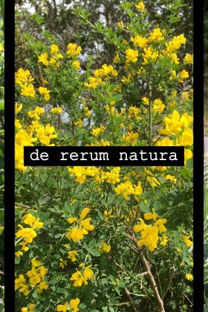 de rerum natura's poster