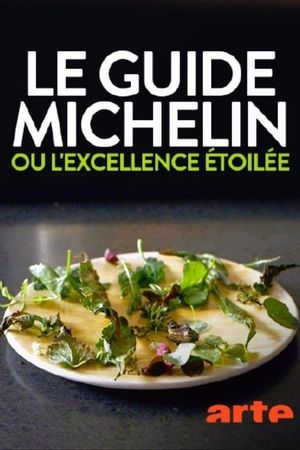 Le guide Michelin ou l'excellence étoilée's poster