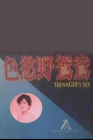 Teenager's Sex's poster