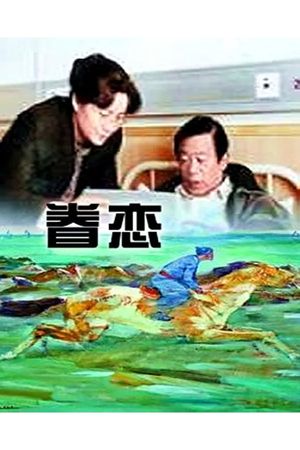 眷恋's poster