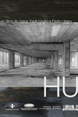 Hu's poster