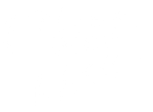 Boy Kills World's poster