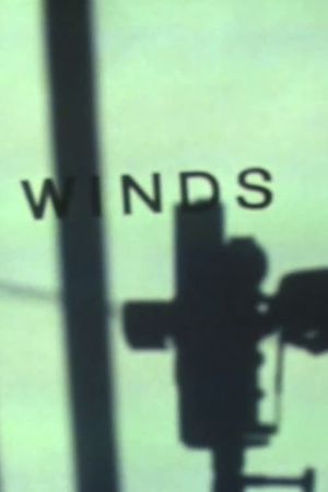 Winds's poster