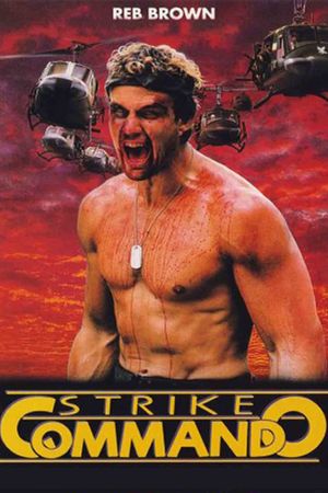 Strike Commando's poster