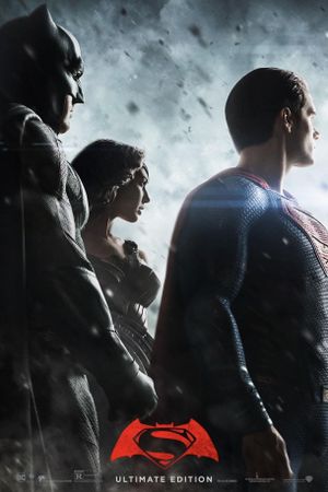 Batman v Superman: Dawn of Justice's poster