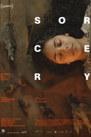 Sorcery's poster