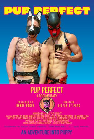 Pup Perfect's poster