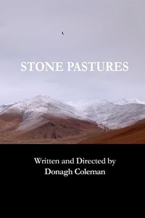 Stone pastures's poster