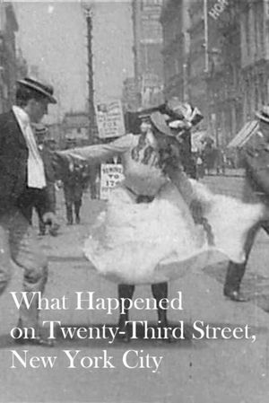 What Happened on Twenty-Third Street, New York City's poster