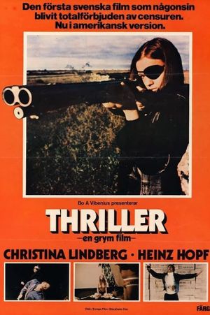 Thriller: A Cruel Picture's poster
