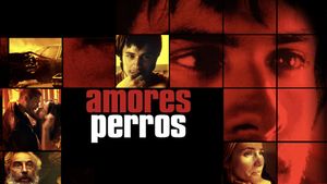 Amores Perros's poster