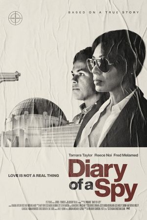 Diary of a Spy's poster