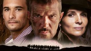 The 33's poster