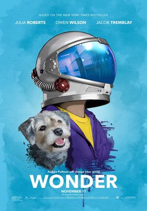 Wonder's poster