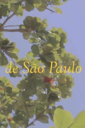 News from São Paulo's poster