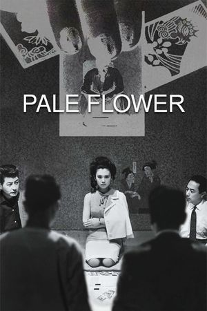 Pale Flower's poster