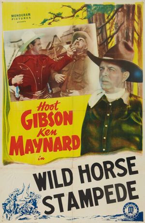 Wild Horse Stampede's poster