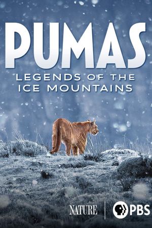 Pumas: Legends of the Ice Mountains's poster