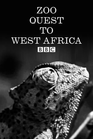 Zoo Quest to West Africa's poster