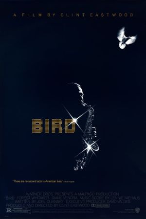 Bird's poster