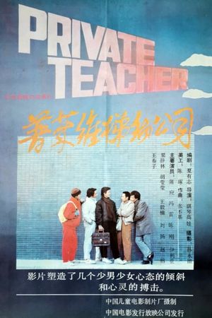 普莱维梯彻公司's poster image