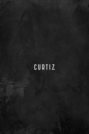 Curtiz's poster