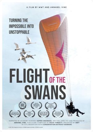 Flight of the Swans's poster