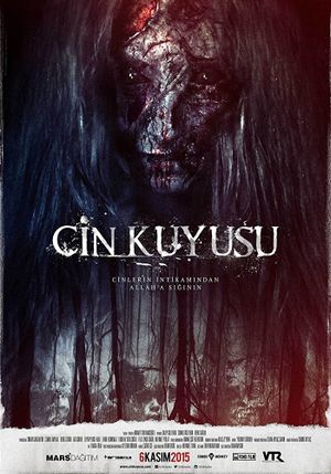 Cin Kuyusu's poster