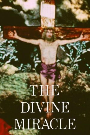 The Divine Miracle's poster