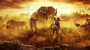 Surviving Paradise: A Family Tale's poster