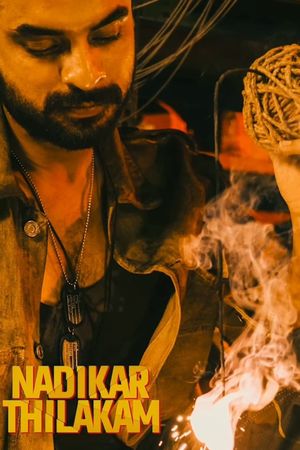 Nadikar's poster