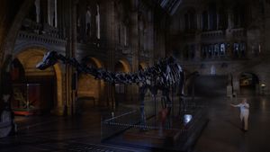 David Attenborough's Natural History Museum Alive's poster