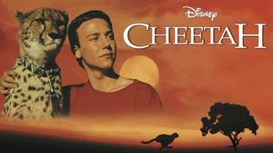 Cheetah's poster
