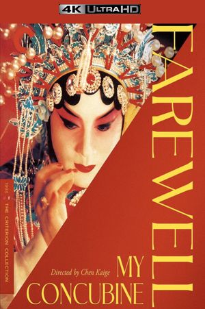 Farewell My Concubine's poster