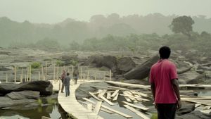 Sleeping Sickness's poster