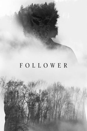 Follower's poster