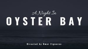 A Night in Oyster Bay's poster