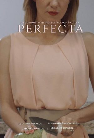 Perfecta's poster