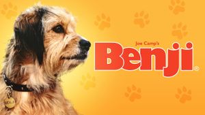 Benji's poster