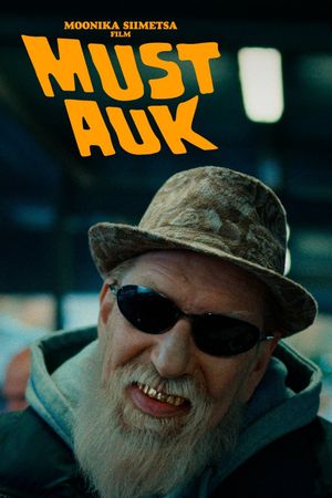 The Black Hole's poster