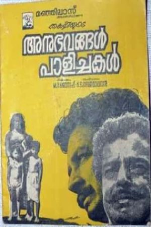 Anubhavangal Palichakal's poster