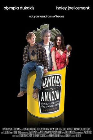 The Misadventures of the Dunderheads's poster