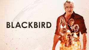 Blackbird's poster
