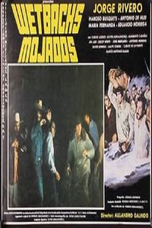 Mojados's poster